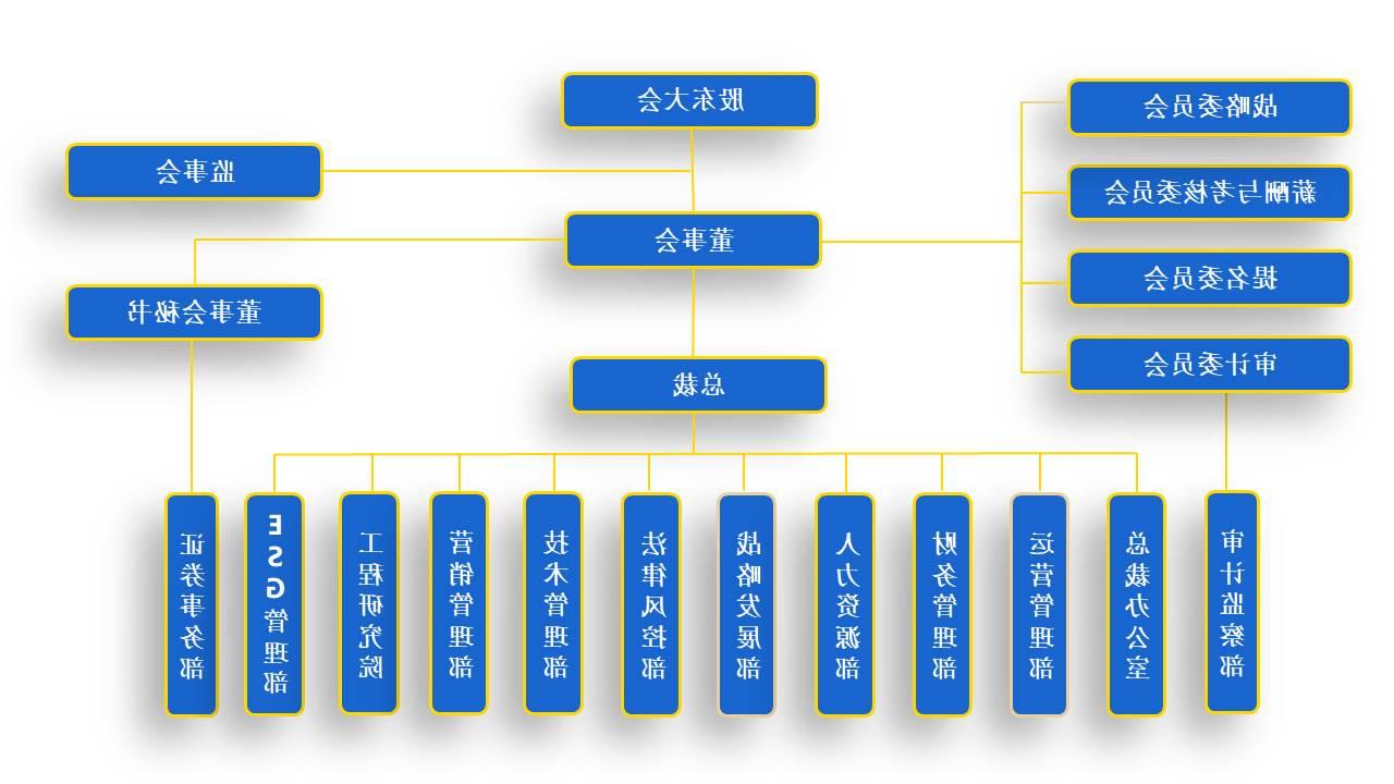 2024集团组织结构图(中文-0425).jpg